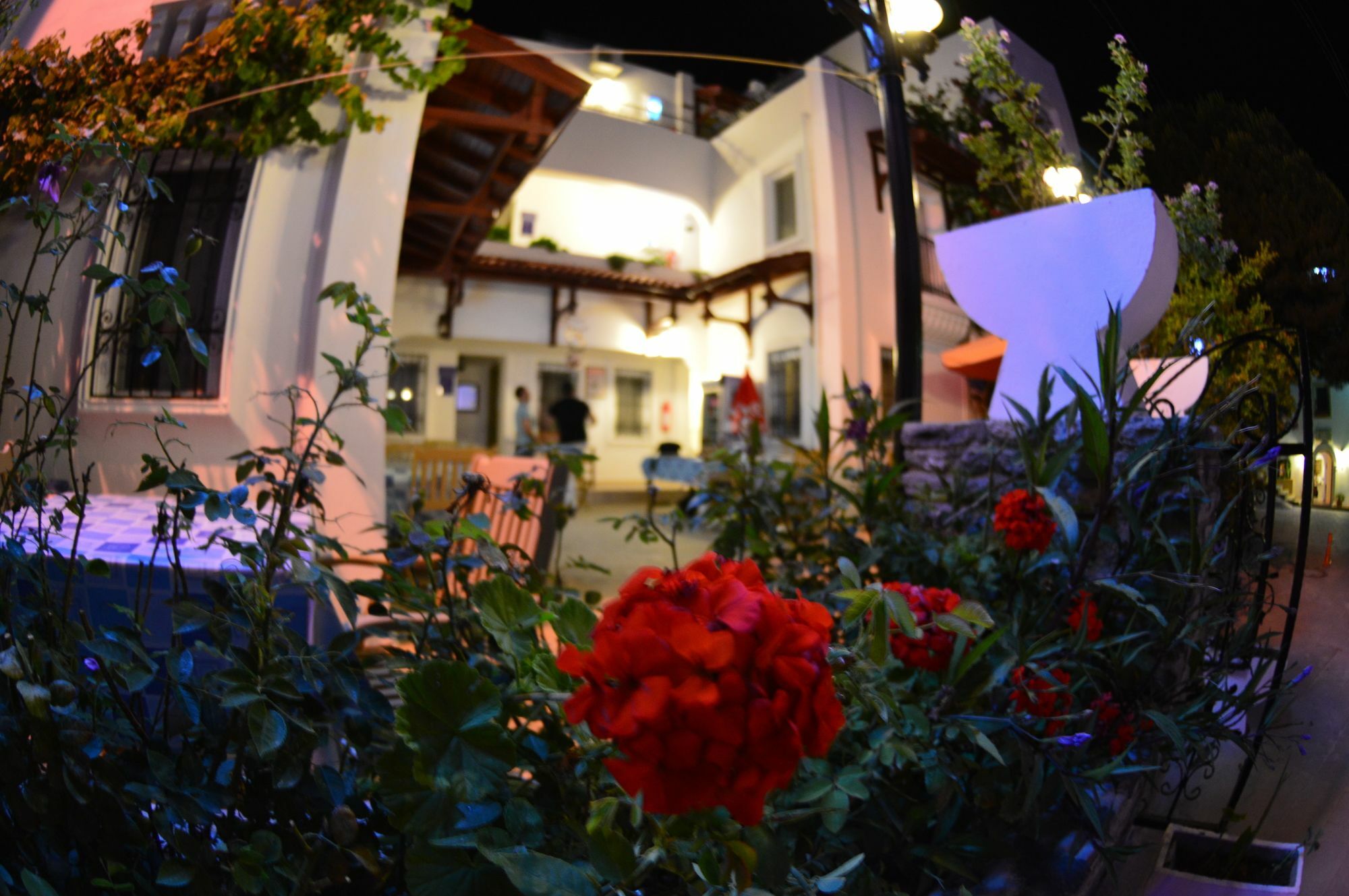 Istankoy Butik Pansiyon Bodrum 외부 사진